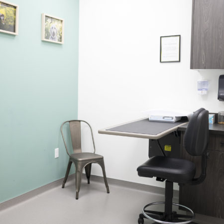 Green Exam Room